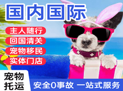 丹东航空快运国际宠物托运 【国
